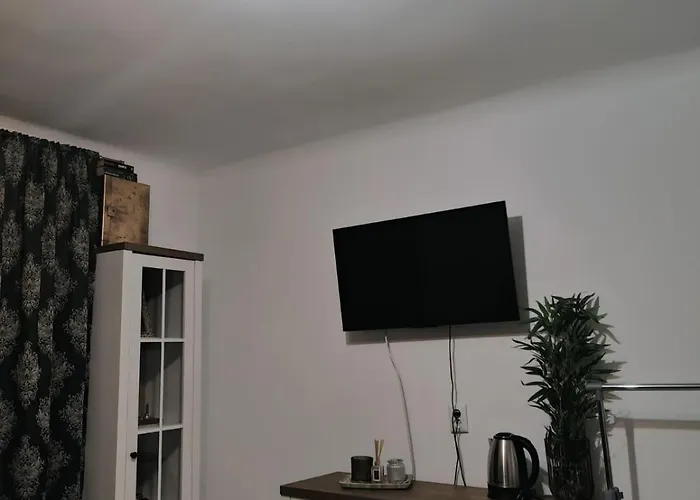 Apartament Kriss Mihaileanu *